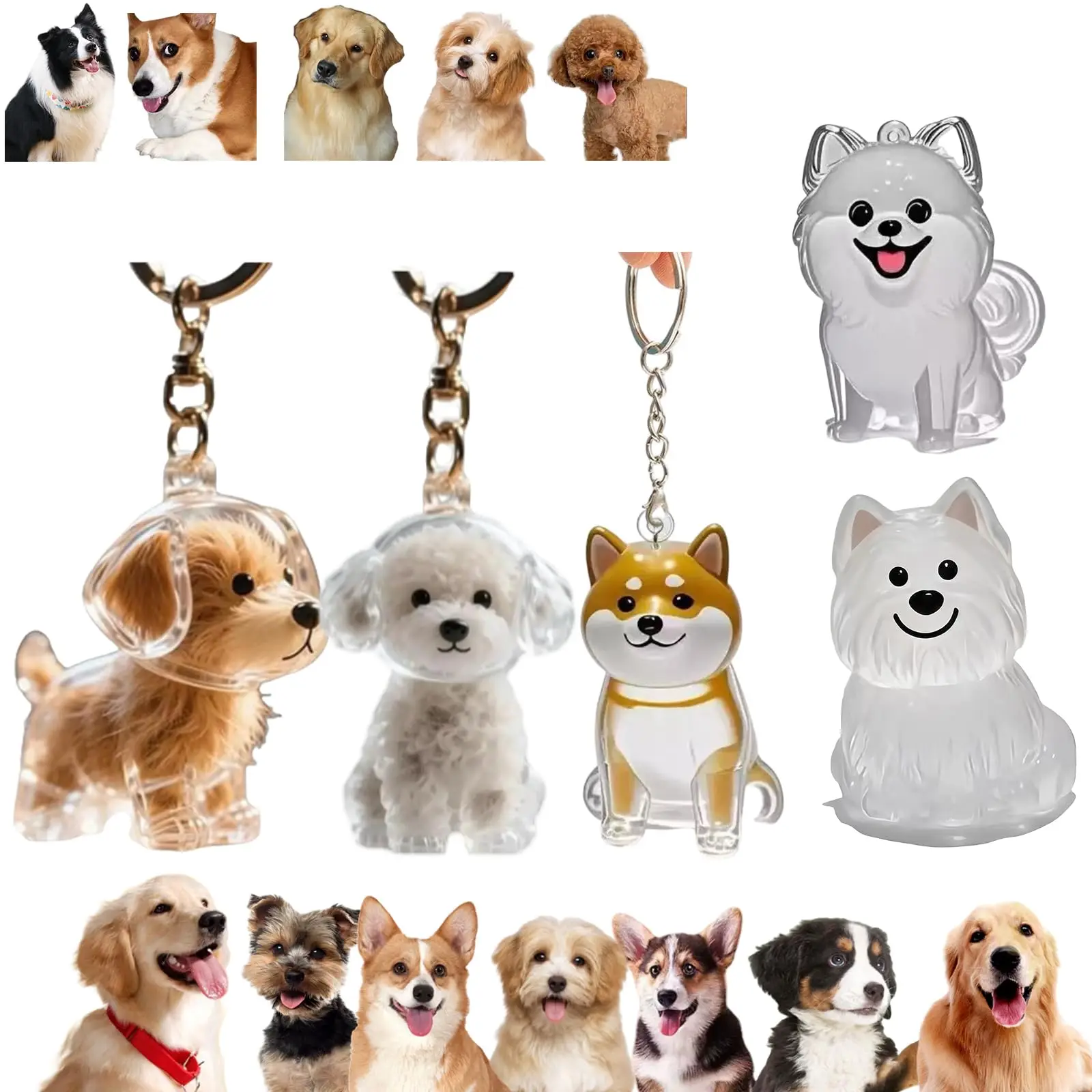 Pet Supplies Outlet - Pingente Transparente para Chaveiro de Memória