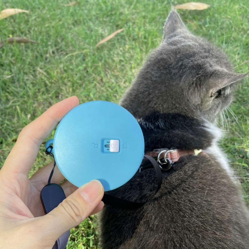Retractable Dog Leash - Mini coleira retrátil para cães, 2m/3m,