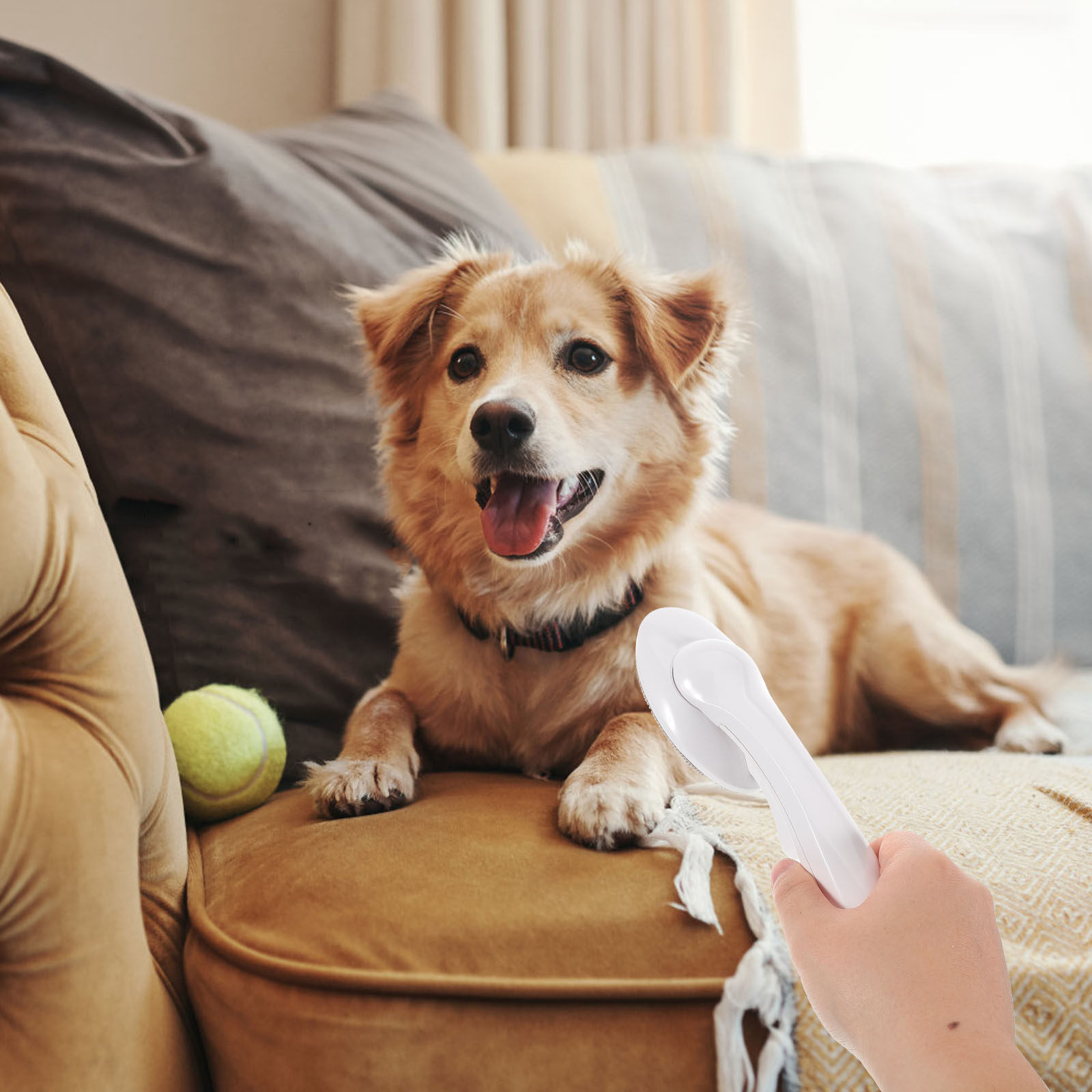 Pet Hair Remover Brush - Escova Rotativa Removedora de Pelos de