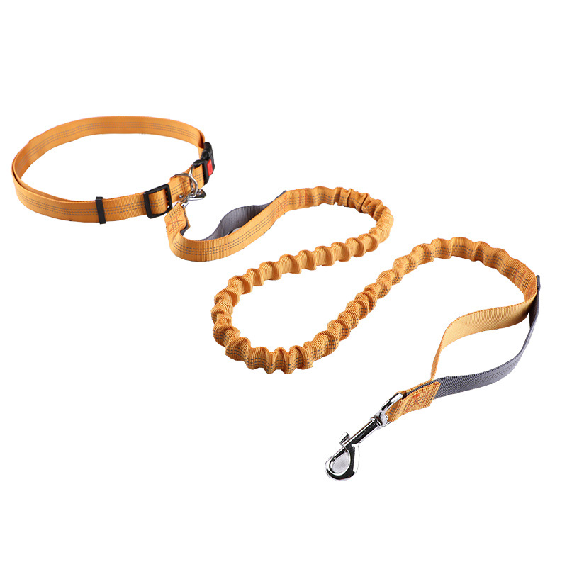 Retractable Dog Leash - Coleira para animais de estimação, coleira