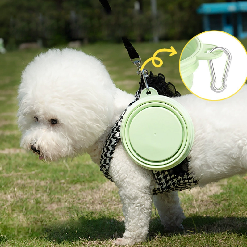 Cor suprimentos para animais d - Pet Supplies Dog Food avaliação e preço