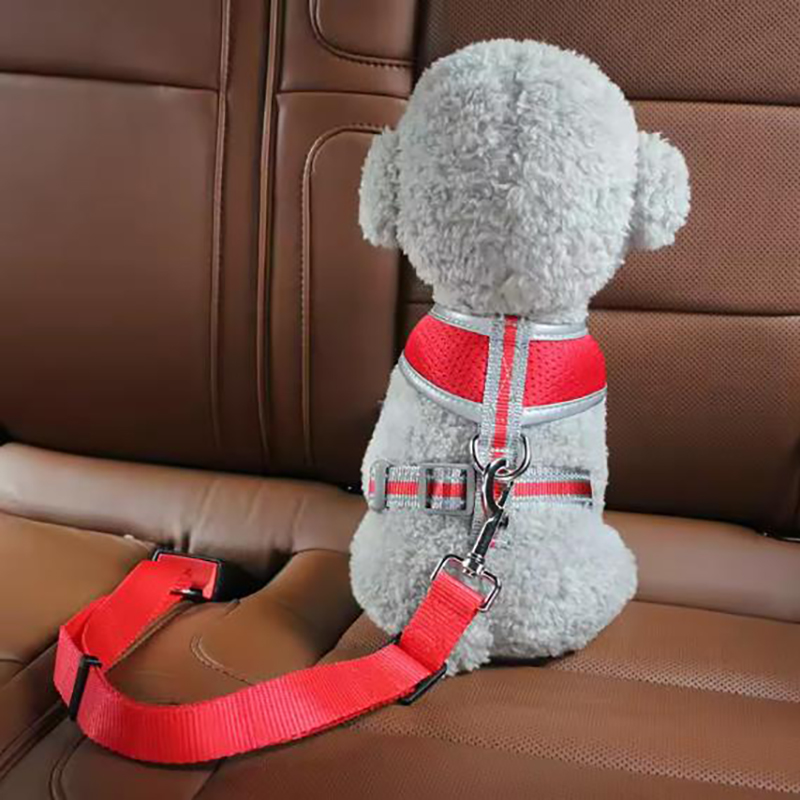 Cintos de segurança para cães, - Retractable Dog Leash avaliação e preço