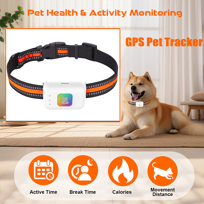 Dispositivo de rastreamento gp - Pet Supplies Discount avaliação e preço