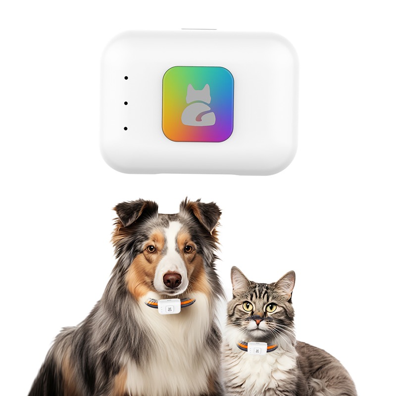 Dispositivo de rastreamento gp - Pet Supplies Discount avaliação e preço