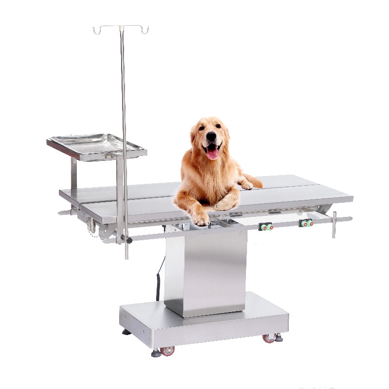 Mesa de Exame Veterinário 2026 - Pet Supplies Vet Clinic avaliação e preço