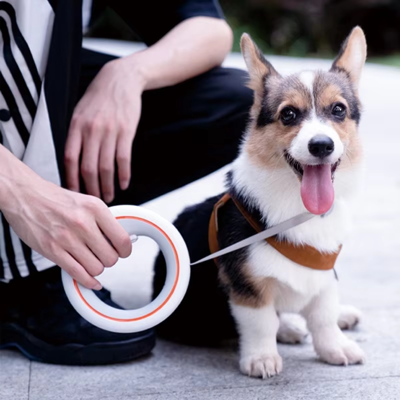 Moestar UFO 가2  lya이, ,한 ′′ Fo - Retractable Dog Leash avaliação e preço