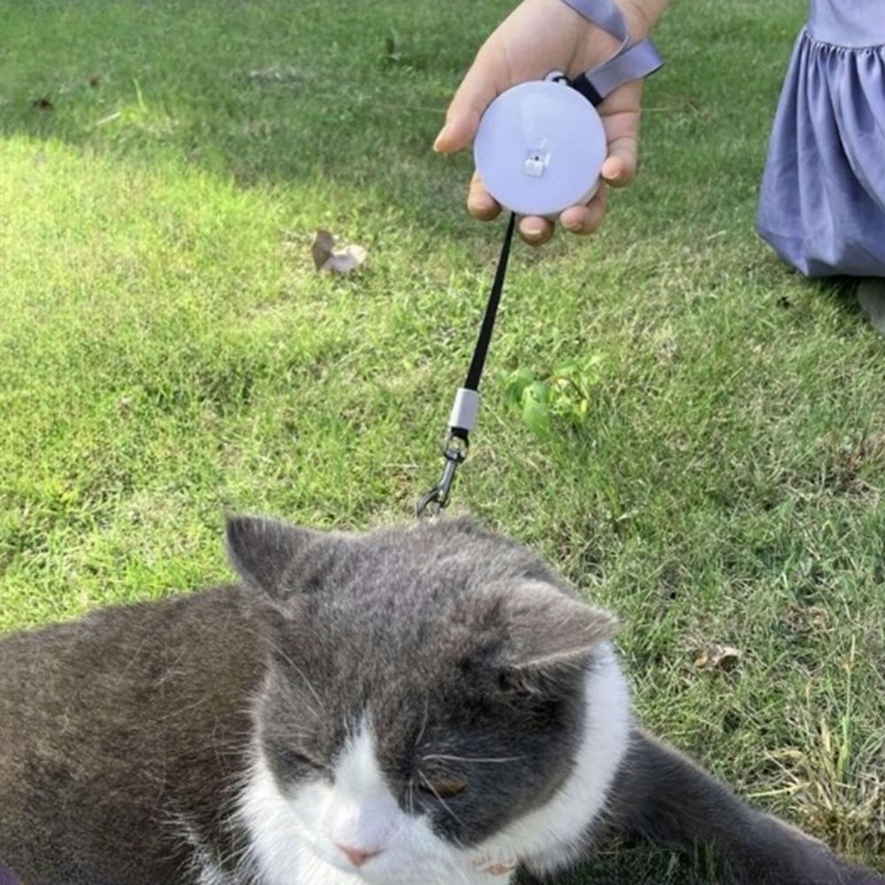 Mini coleira retrátil para cãe - Retractable Dog Leash avaliação e preço