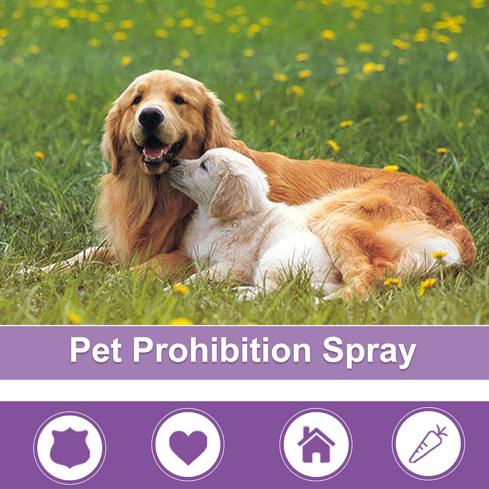 Spray Calmante para Animais de - Pet Supplies Nz avaliação e preço