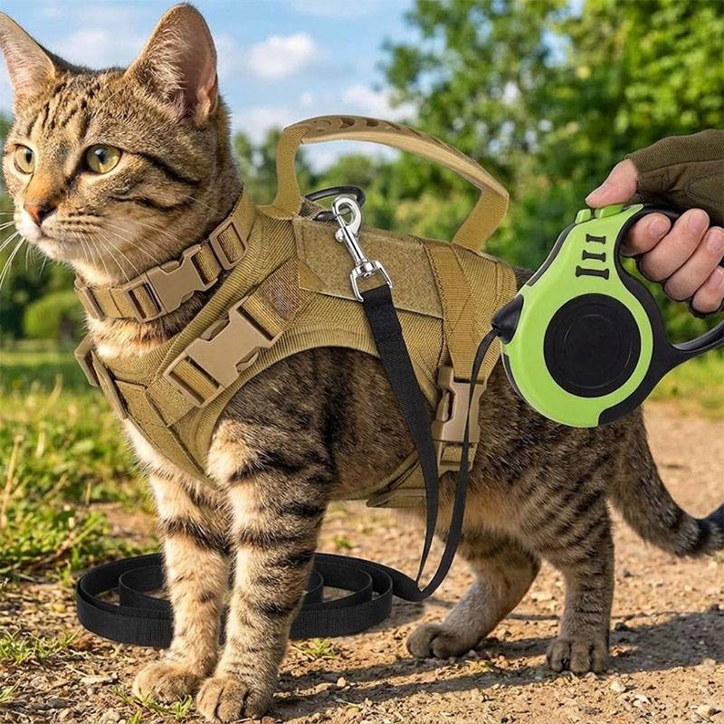 Colete Tático Respirável para  - Retractable Dog Leash avaliação e preço