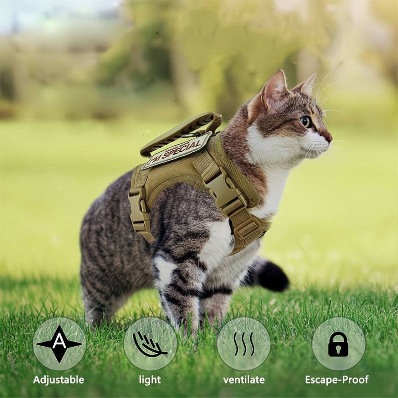 Colete Tático Respirável para  - Retractable Dog Leash avaliação e preço