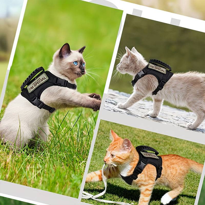 Colete Tático Respirável para  - Retractable Dog Leash avaliação e preço