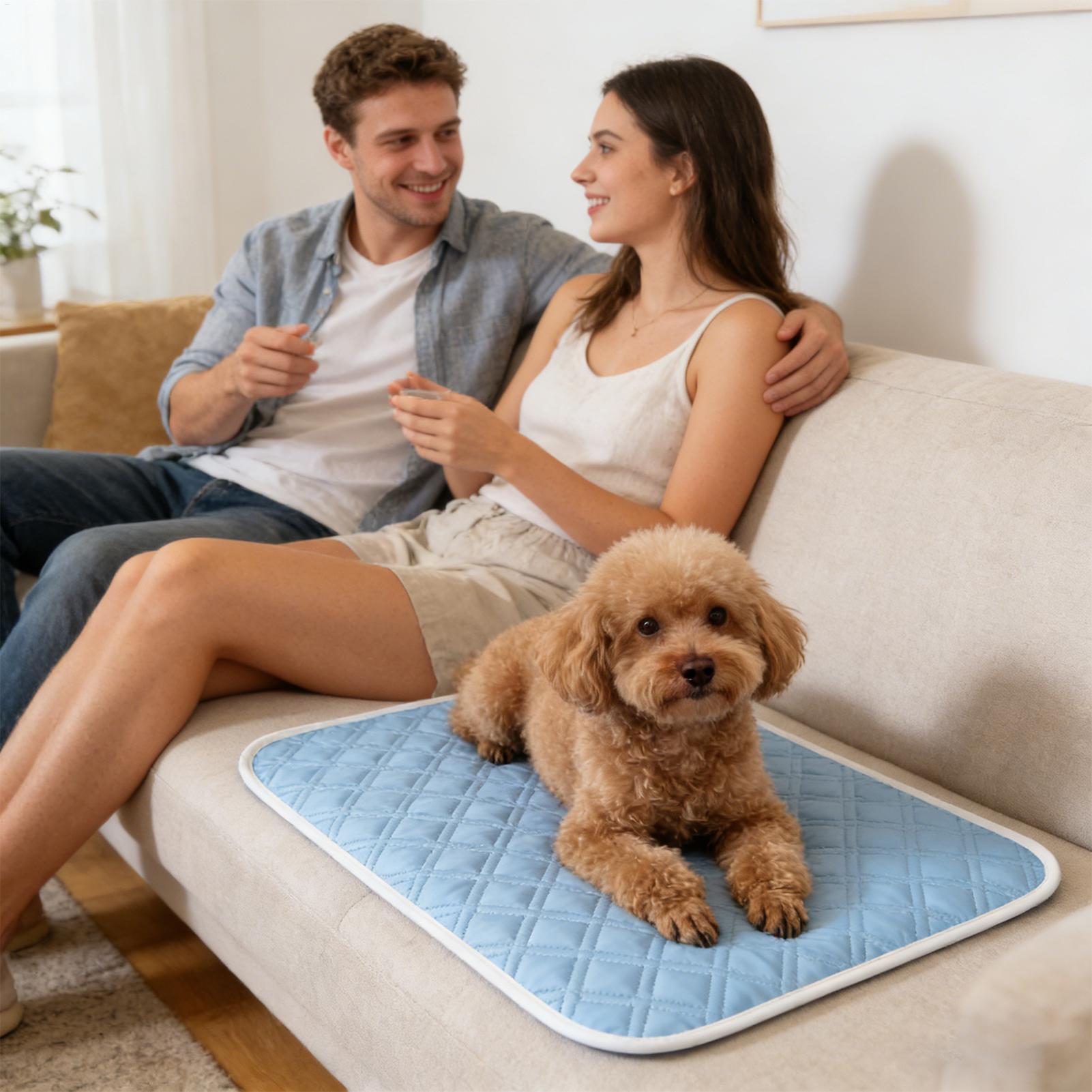 Tapete Refrescante de Verão pa - Pet Supplies Self Wash avaliação e preço