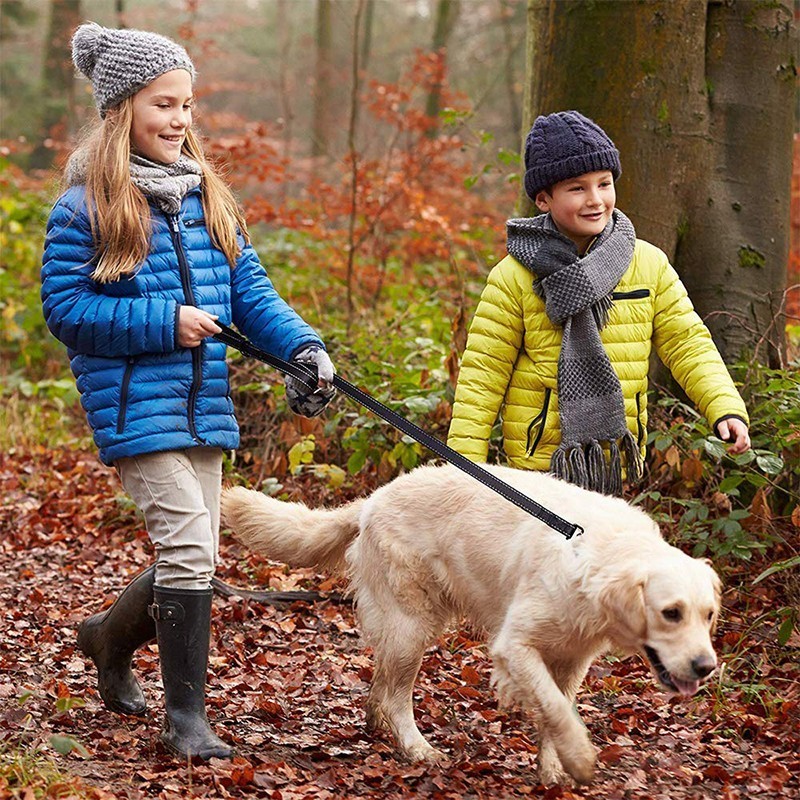 Benepaw coleira de cachorro ac - Retractable Dog Leash avaliação e preço