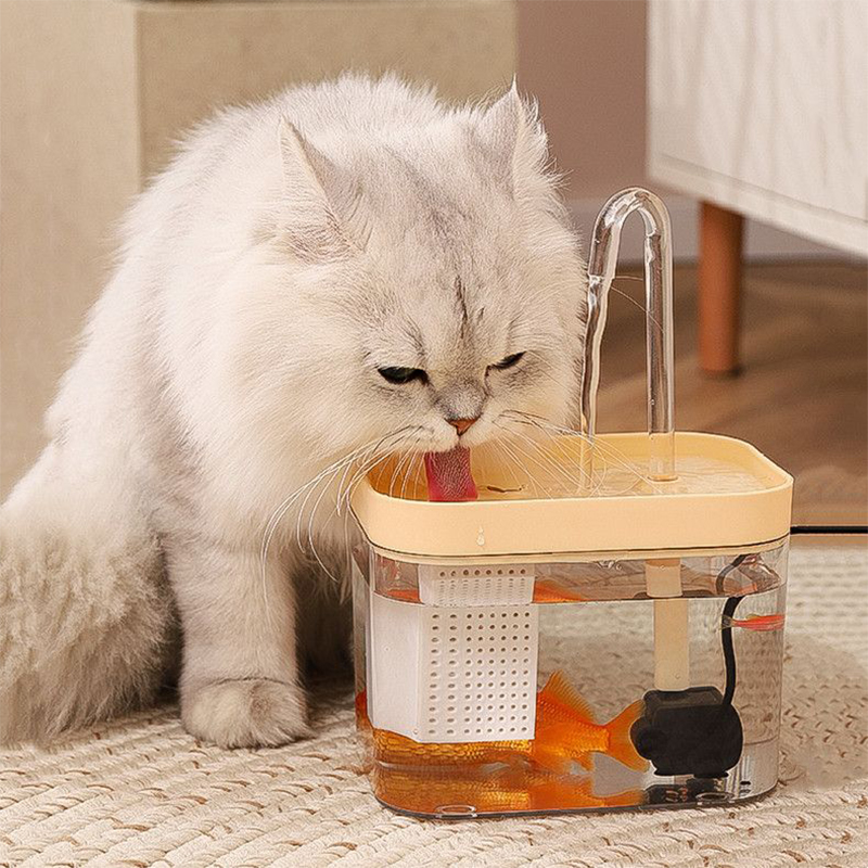 Fonte potável transparente par - Pet Supplies Nz avaliação e preço