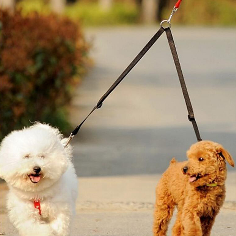 Duplo Twin Dual Coupler Dog Le - Retractable Dog Leash avaliação e preço