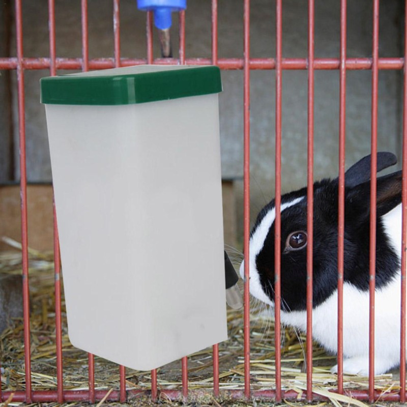 Bebedouro Portátil para Pets:  - Pet Supplies Nz avaliação e preço
