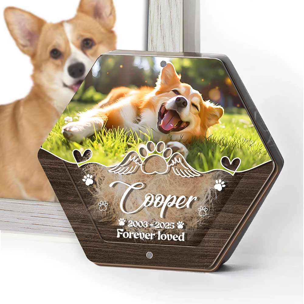 Nome personalizado escultura e - Pet Supplies Discount avaliação e preço