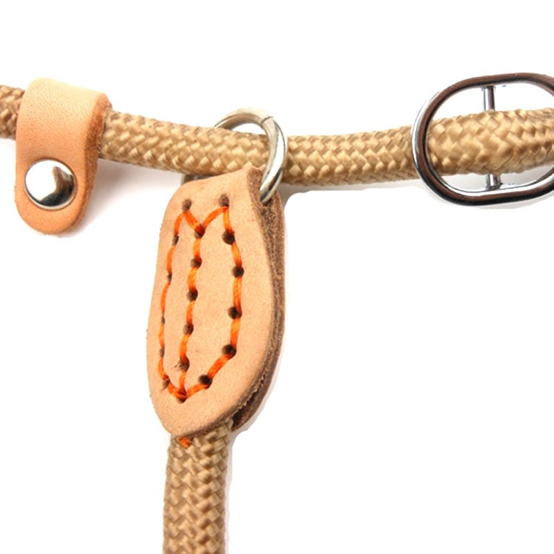Trela do cão corda deslizante  - Retractable Dog Leash avaliação e preço