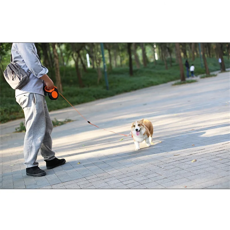 Trela retrátil de nylon para c - Retractable Dog Leash avaliação e preço