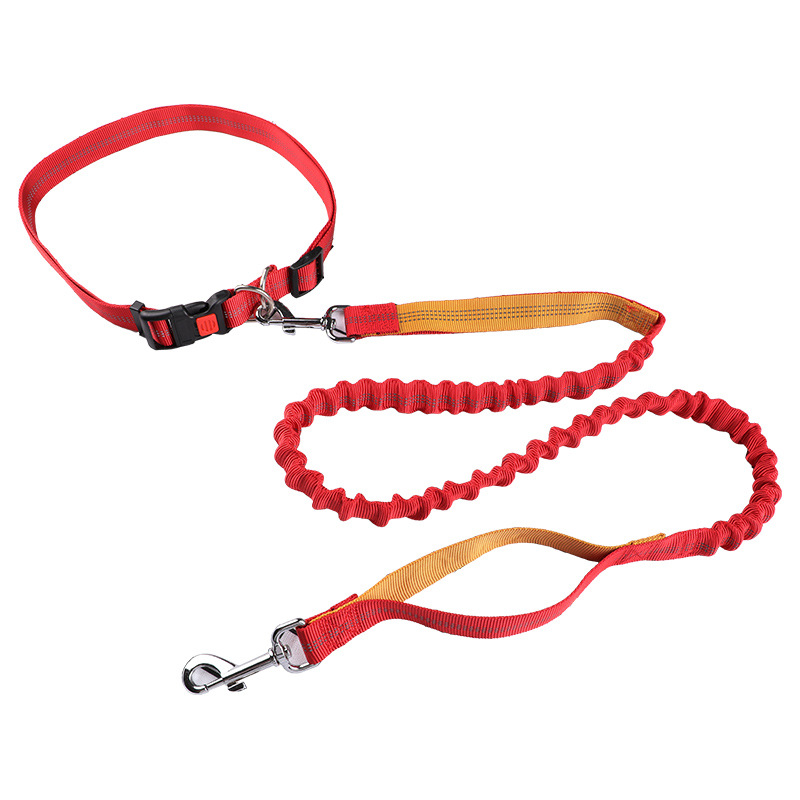 Coleira para animais de estima - Retractable Dog Leash avaliação e preço