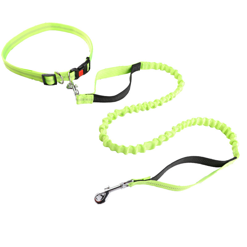Coleira para animais de estima - Retractable Dog Leash avaliação e preço