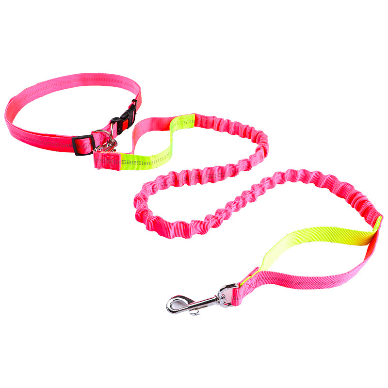 Coleira para animais de estima - Retractable Dog Leash avaliação e preço