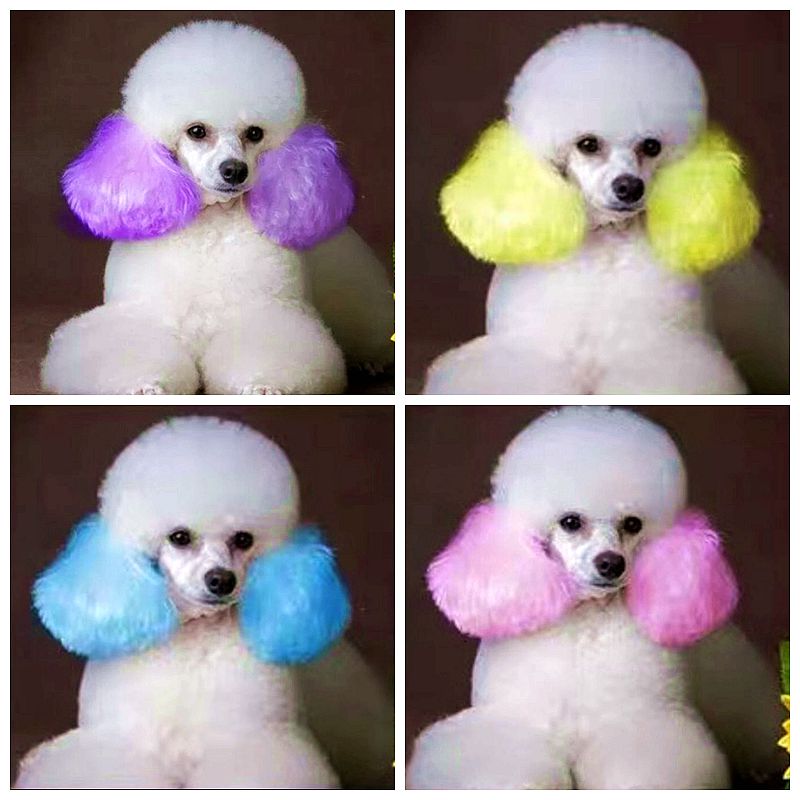 Semi Permanente Pet Dye Cream, - Pet Supplies Nz avaliação e preço