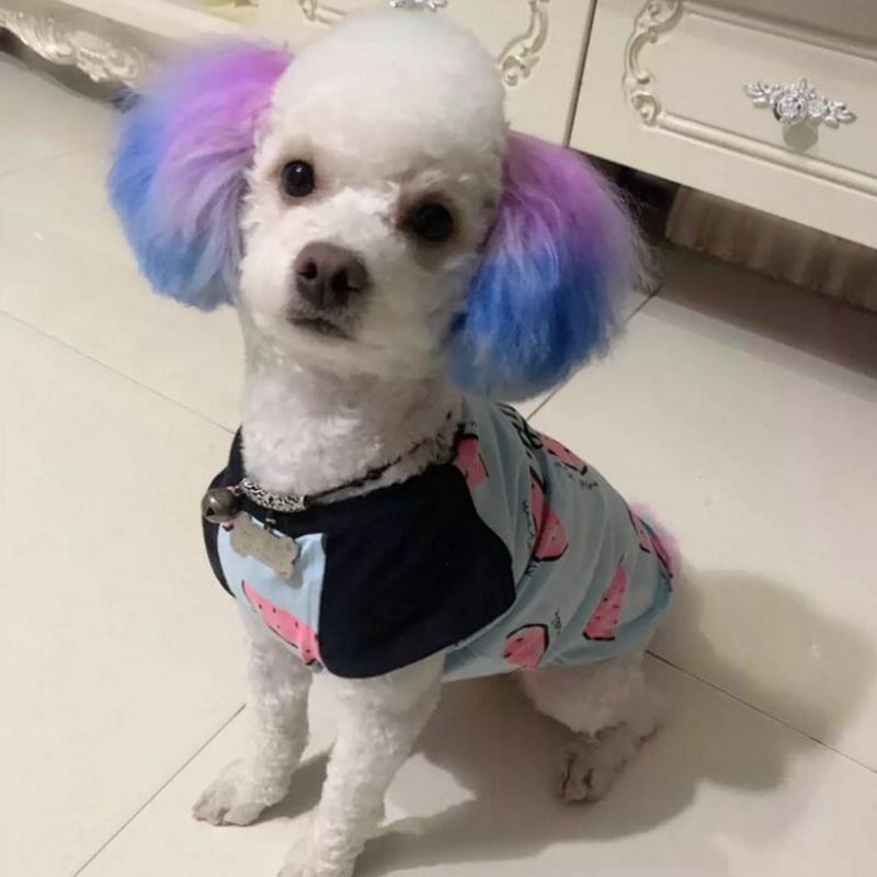Semi Permanente Pet Dye Cream, - Pet Supplies Nz avaliação e preço