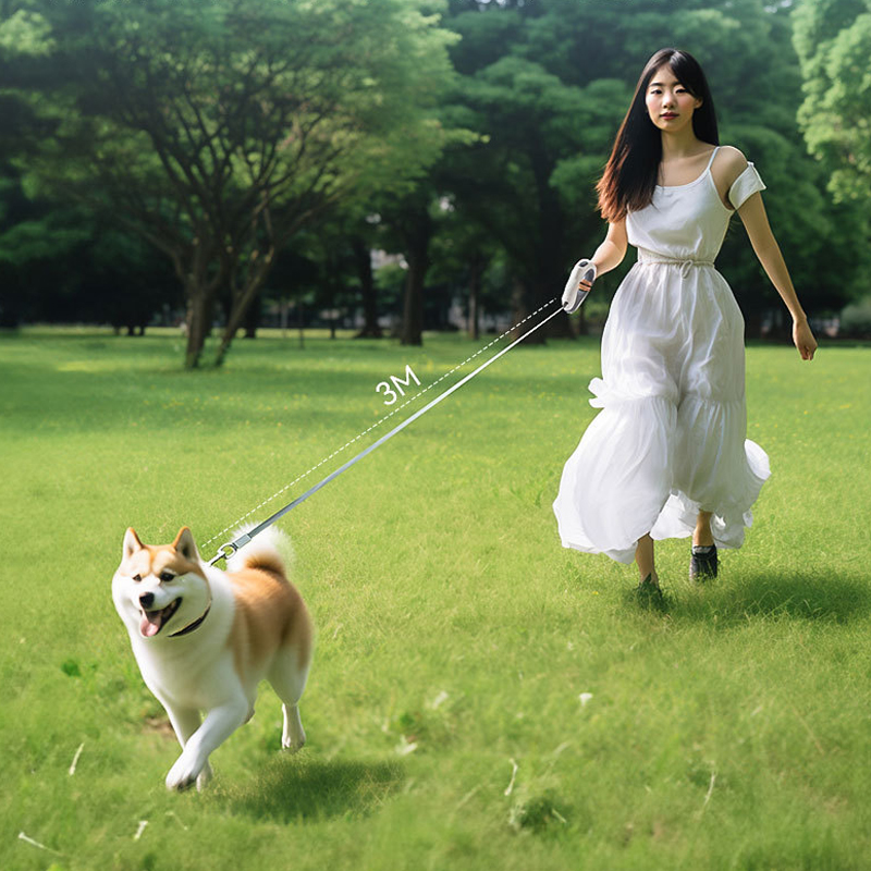 Coleira Retrátil LED para Anim - Retractable Dog Leash avaliação e preço